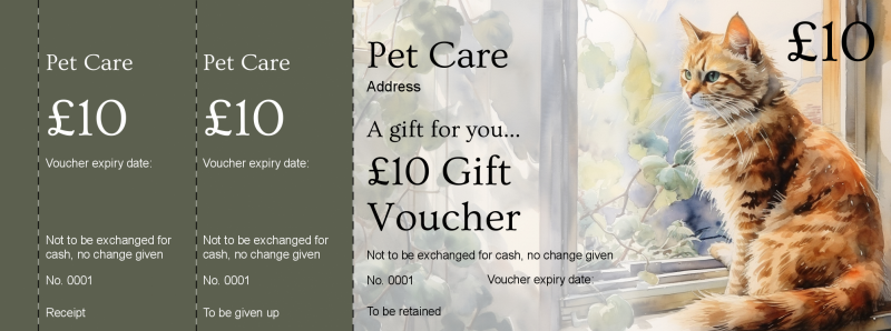 Design Cat on Windowsill Gift Vouchers Template