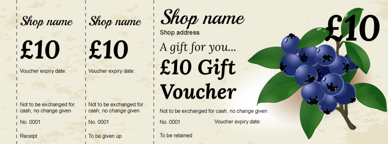 Design Blueberries Gift Vouchers Template